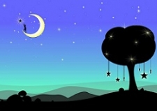 Can You Make Your Dreams Come True?